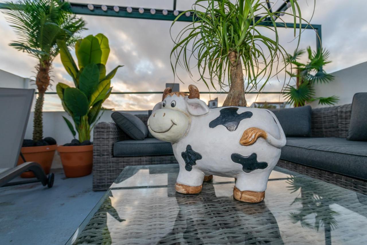 Apartmán Francisco Terrace Ponta Delgada Exteriér fotografie